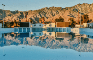 Read more about the article PAINTING THE TOWN PINK IN PALM SPRINGS